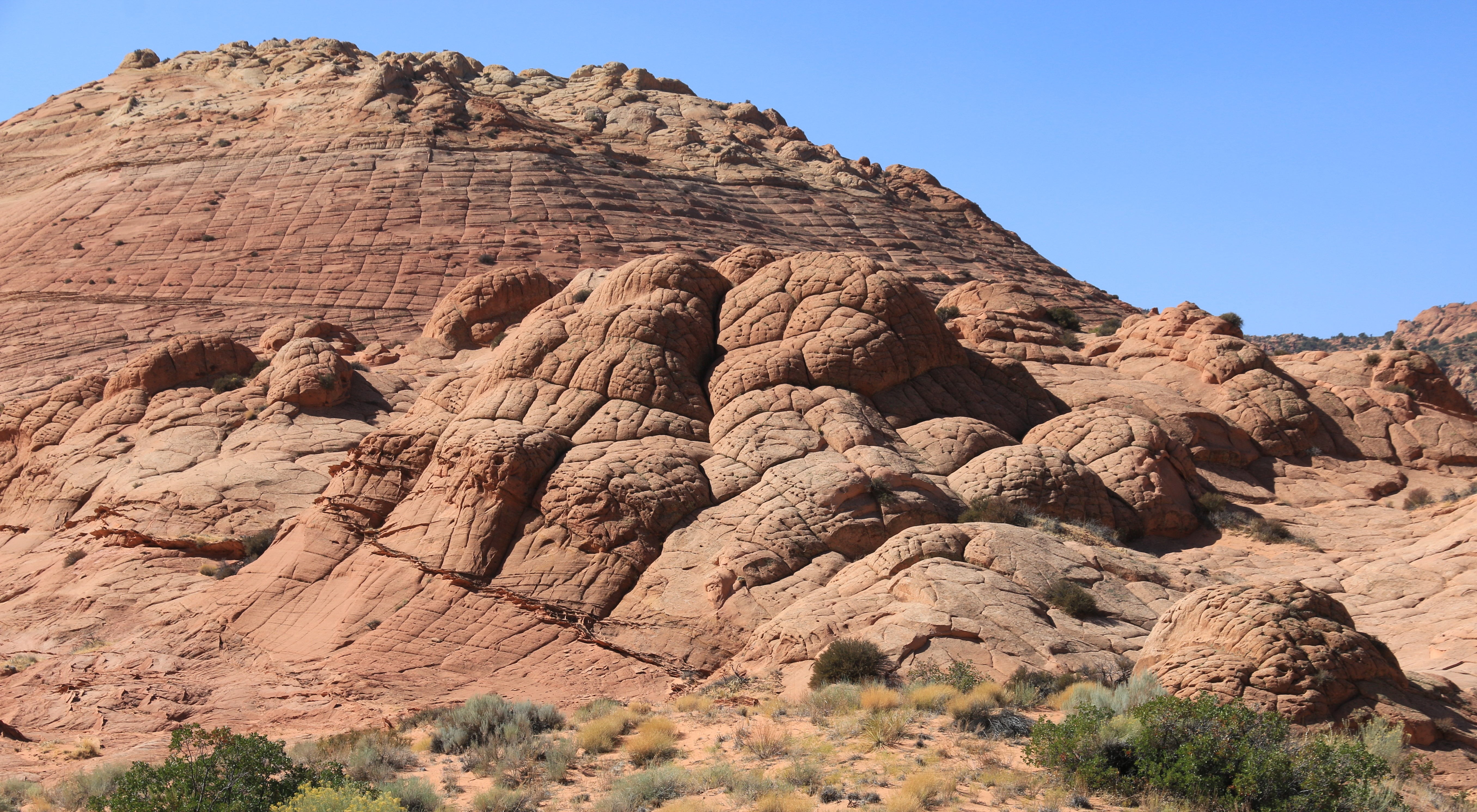 Vermillion Cliffs NM